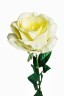 Роза белая 71 см (24) - TT-00001005