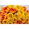 Цветочная композиция  "яркие тюльпаны"ширина 48 см*высота 62 см- без упаковки Текстильный Мир (23-1647)