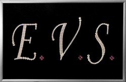 Картина Логотип E.V.S. с кристаллами Swarovski (2308)