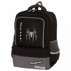 Рюкзак для мальчиков Brauberg Star Spider 17 л 229978 (76669)