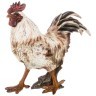Фигурка "курица" 33*15*33,5 cm. Lefard (100-587)