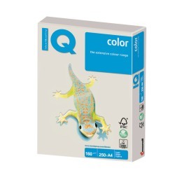 Бумага цветная для принтера IQ Color А4, 160 г/м2, 250 листов, серая, GR21 (65423)