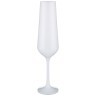 Набор бокалов для шампанского "sandra sprayed white" из 6 шт. 200 мл. высота=24 см. Bohemia Crystal (674-719)