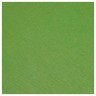 Скатерть 140х180 см "праздничная",100% хлопок,зелёный+полоска SANTALINO (850-885-24)