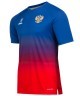 Футболка разминочная JOGEL NATIONAL PerFormDRY Pre-Match Tee, сине-красный (2110091)
