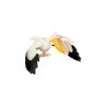 Набор фигурок птиц серии "Мир диких животных": сокол, попугай ара, павлин, пеликан (набор из 4 фигурок) (MM211-235)