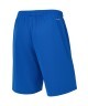 Шорты баскетбольные JÖGEL DIVISION PerFormDRY RBF 2S Shorts, синий (2119000)