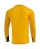 Свитер вратарский JOGEL DIVISION PerFormDRY GK Splash, желтый (2126290)