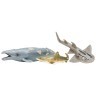 Фигурки игрушки серии "Мир морских животных": Ламантин, морская черепаха, серый кит, рохлевый скат, тигровая акула, кошачья акула (набор из 6 фигурок (ММ203-021)