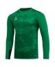 Свитер вратарский JOGEL DIVISION PerFormDRY GK Splash, зеленый (2106298)