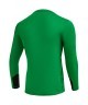 Свитер вратарский JOGEL DIVISION PerFormDRY GK Splash, зеленый (2105762)