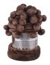 Плед с помпонами "горький шоколад" 200*220 см. SANTALINO (981-012)
