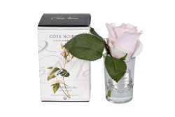 Диффуз.Rose Bud French Pink,спрей White Gardenia 5мл уп (TT-00006247)
