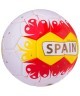 Мяч футбольный Spain №5 (594308)