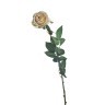 Роза кремовая 80 см (12) (D-00002401) 