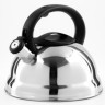Чайник со свистком 3 л нерж/ст/пластик (352-1)
