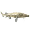 Мягкая игрушка Осётр, 25 см (K8428-PT)