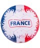 Мяч футбольный France №5 (594525)