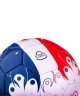 Мяч футбольный France №5 (594525)