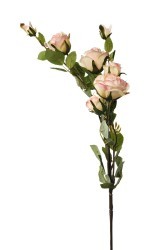Роза кустовая нежно-розовая 73 см(24) - TT-00004038