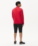 Джемпер тренировочный JOGEL PREMIER PerFormDRY Training 1/4 Zip Fleece Top, красный (2123098)