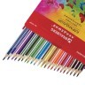 Карандаши цветные трехгранные Brauberg Бабочки 24 цвета 181367 (65745)