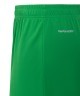 Шорты вратарские JOGEL NATIONAL PerFormDRY GK Shorts, зеленый (2110718)