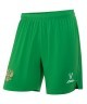Шорты вратарские JOGEL NATIONAL PerFormDRY GK Shorts, зеленый (2110718)