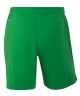 Шорты вратарские JOGEL NATIONAL PerFormDRY GK Shorts, зеленый (2110718)
