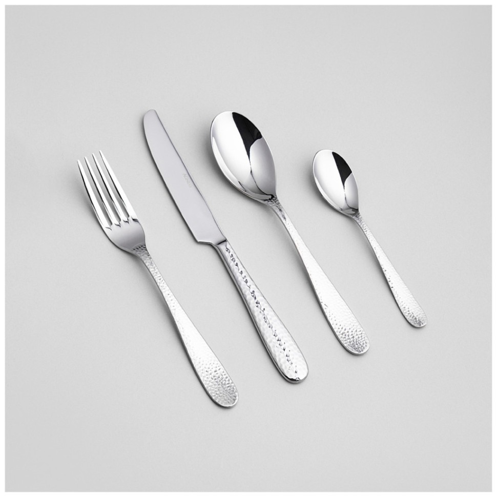 Набор столовых приборов regina agness 24 пр., сталь 18/10 Agness (1000-010)