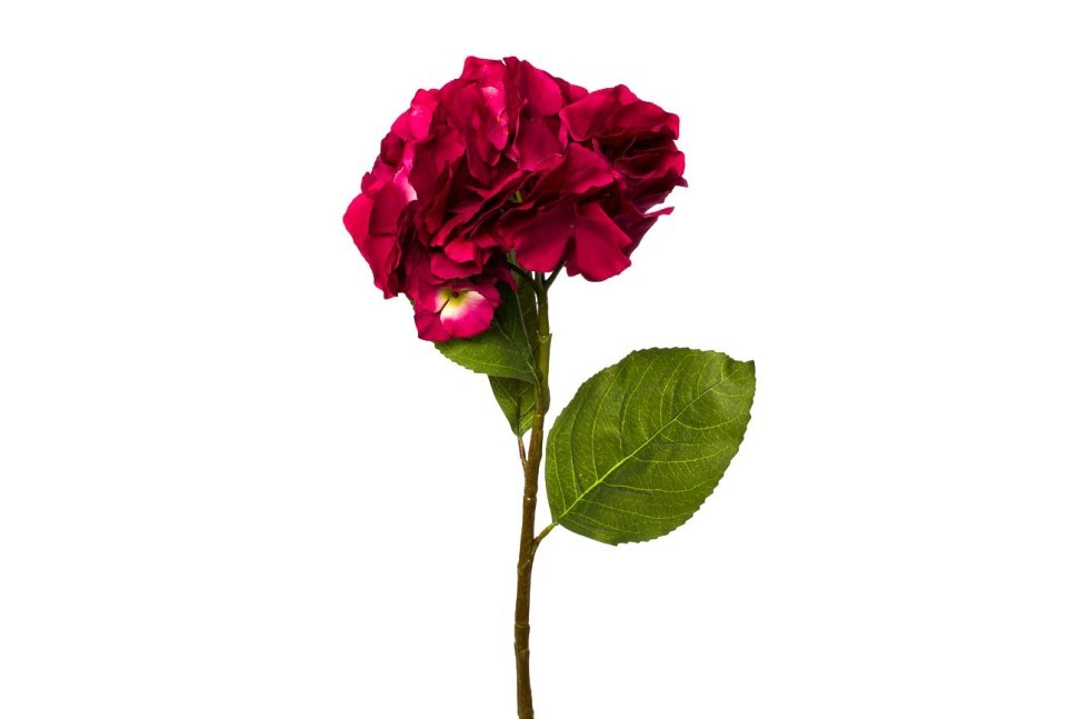 Гортензия алая 62см (12) (TT-00000032)