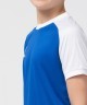 Футболка игровая JOGEL CAMP Reglan Jersey, синий/белый, детский (702239)