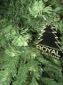 Ель Royal Christmas Dakota 85210 (210 см) (52622)