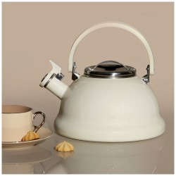 Чайник эмалированный со свистоком с эффектом металлик серия "deluxe"цв:молочный 2,5 л. 21х23 см Agness (901-073)