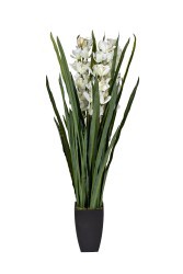 2 Орхидея CYMBIDIUM искусств. белая в горшке h110 см (TT-00012901)