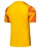 Футболка вратарская JOGEL NATIONAL PerFormDRY GK Jersey, желтый (2112653)