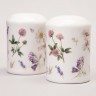 Набор для специй agness "flower story" 2пр. 4,5*6,5 см Agness (358-2168)