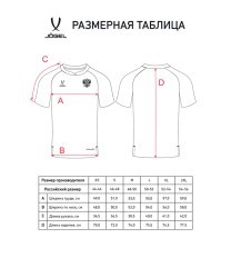 Футболка вратарская JOGEL NATIONAL PerFormDRY GK Jersey, зеленый (2112635)