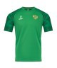 Футболка вратарская JOGEL NATIONAL PerFormDRY GK Jersey, зеленый (2112635)