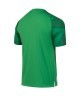 Футболка вратарская JOGEL NATIONAL PerFormDRY GK Jersey, зеленый (2112635)