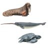 Фигурки игрушки серии "Мир морских животных": Нарвал, кожистая черепаха, морж  (набор из 3 фигурок животных) (ММ203-004)