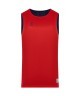 Майка двухсторонняя JOGEL DIVISION PerFormDRY Double-Side RBF Jersey, темно-синий/красный (2118553)