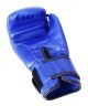 Перчатки боксерские Basic, 12 oz, к/з, синий (778670)