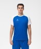Футболка игровая JOGEL CAMP Reglan Jersey, синий/белый (701688)