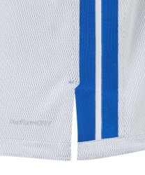 Майка двухсторонняя JOGEL DIVISION PerFormDRY Double-Side Jersey, синий/белый (2130667)