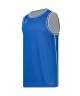 Майка двухсторонняя JOGEL DIVISION PerFormDRY Double-Side Jersey, синий/белый (2130667)