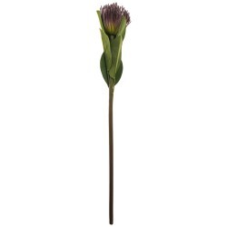 Цветок искусственный "леукоспермум" высота=68 см без упаковки Lefard (265-601)