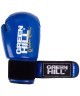 Перчатки боксерские Panther BGP-2098, 10 oz, синий (410984)