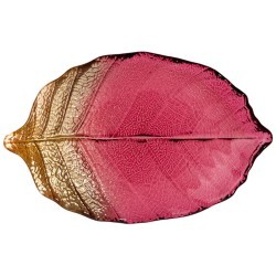Блюдо "leaf" bordeaux 21см АКСАМ (339-343)