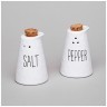 Набор для специй коллекция "kitchen" 2 пр. 6*6*9 см Lefard (157-246)
